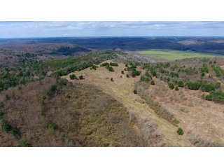 Property photo 48 - LAND AUCTION - 2,596+/- ACRES IN 28 TRACTS IN COSHOCTON & MUSKINGUM COUNTIES, OHIO